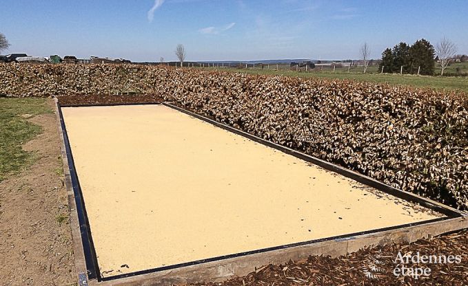 Vakantiehuis in B�llingen voor 8 personen in de Ardennen