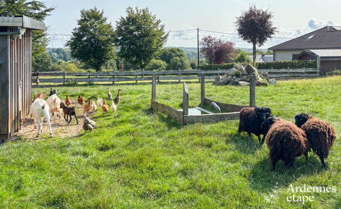 Ruim vakantieappartement voor 12 personen met 5 slaapkamers en gedeelde priv�tuin en wellness in Butgenbach