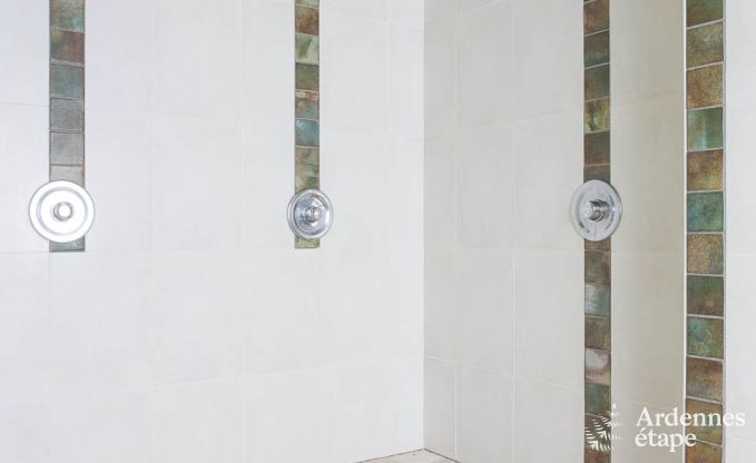 Ruim vakantieappartement voor 12 personen met 5 slaapkamers en gedeelde priv�tuin en wellness in Butgenbach