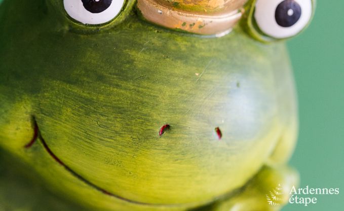 Appartement in Butgenbach voor 4 personen in de Ardennen