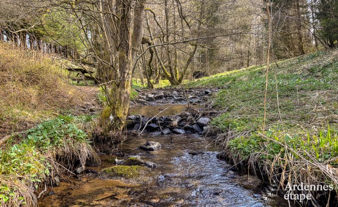Vakantiehuis in Butgenbach voor 12 personen in de Ardennen