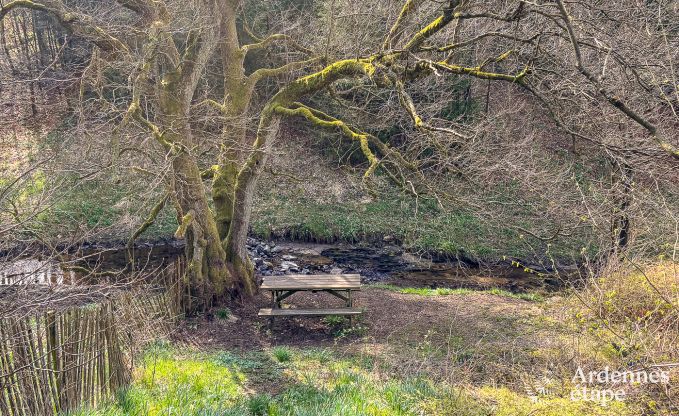 Vakantiehuis in Butgenbach voor 12 personen in de Ardennen