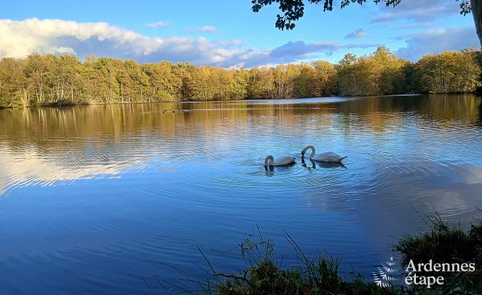 Vakantiehuis in Charleville (FR) voor 15 personen in de Ardennen