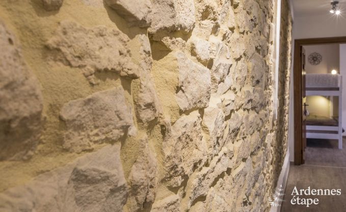 Vakantiehuis in Chassepierre voor 8/9 personen in de Ardennen