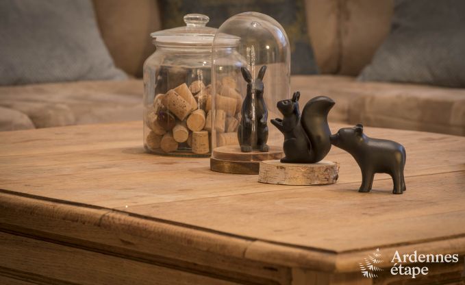 Vakantiehuis in Chassepierre voor 8/9 personen in de Ardennen