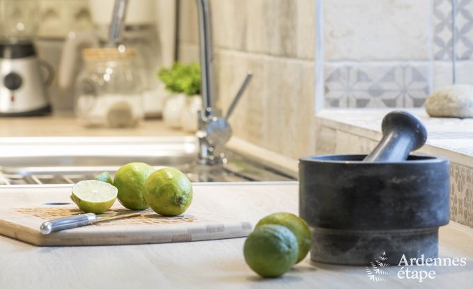 Vakantiehuis in Chassepierre voor 8/9 personen in de Ardennen