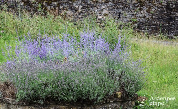 Vakantiehuis in Chassepierre voor 4/6 personen in de Ardennen