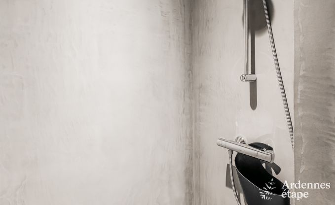 Vakantiehuis in Chassepierre voor 50 personen in de Ardennen