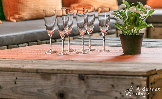 Vakantiehuis in Chassepierre voor 50 personen in de Ardennen