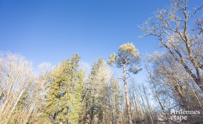 Vakantiehuis in Ciergnon voor 4 personen in de Ardennen