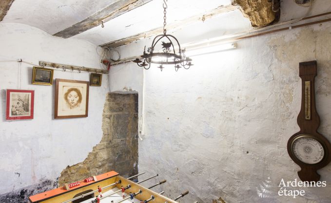 Kasteel in Ciney voor 31 personen in de Ardennen