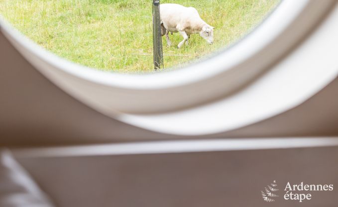 Vakantiehuis in Ciney voor 4/6 personen in de Ardennen
