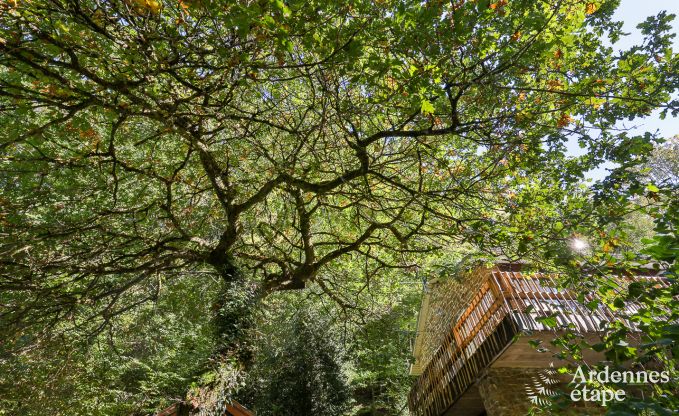 Chalet in Daverdisse voor 8 personen in de Ardennen