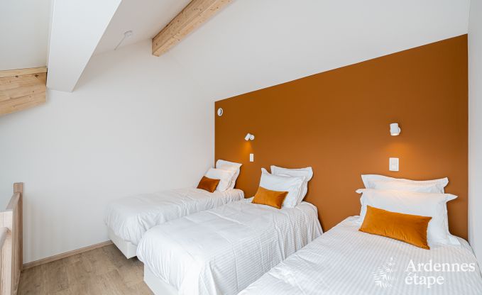 Luxe villa Daverdisse, 10 slaapkamers, 9 badkamers, zwembad, jacuzzi, sauna, speelruimte, nabij bos en rivier