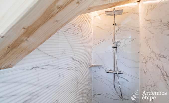 Luxe villa Daverdisse, 10 slaapkamers, 9 badkamers, zwembad, jacuzzi, sauna, speelruimte, nabij bos en rivier