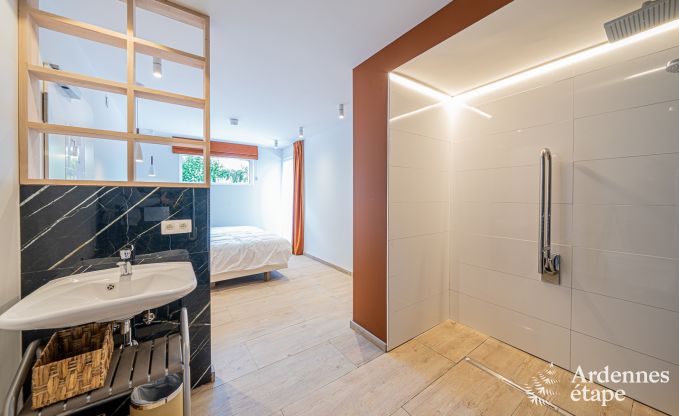 Luxe villa Daverdisse, 10 slaapkamers, 9 badkamers, zwembad, jacuzzi, sauna, speelruimte, nabij bos en rivier