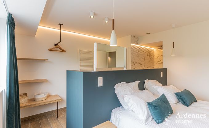 Luxe villa Daverdisse, 10 slaapkamers, 9 badkamers, zwembad, jacuzzi, sauna, speelruimte, nabij bos en rivier