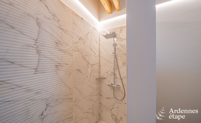 Luxe villa Daverdisse, 10 slaapkamers, 9 badkamers, zwembad, jacuzzi, sauna, speelruimte, nabij bos en rivier