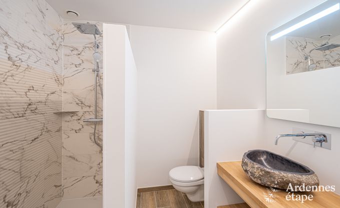 Luxe villa Daverdisse, 10 slaapkamers, 9 badkamers, zwembad, jacuzzi, sauna, speelruimte, nabij bos en rivier