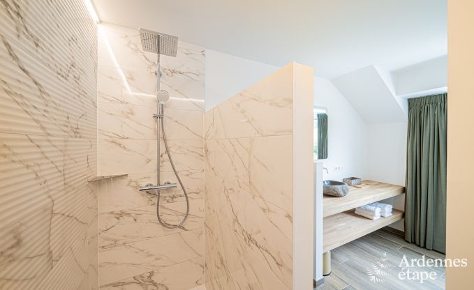 Luxe villa Daverdisse, 10 slaapkamers, 9 badkamers, zwembad, jacuzzi, sauna, speelruimte, nabij bos en rivier