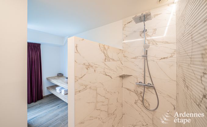 Luxe villa Daverdisse, 10 slaapkamers, 9 badkamers, zwembad, jacuzzi, sauna, speelruimte, nabij bos en rivier