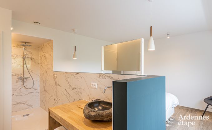 Luxe villa Daverdisse, 10 slaapkamers, 9 badkamers, zwembad, jacuzzi, sauna, speelruimte, nabij bos en rivier