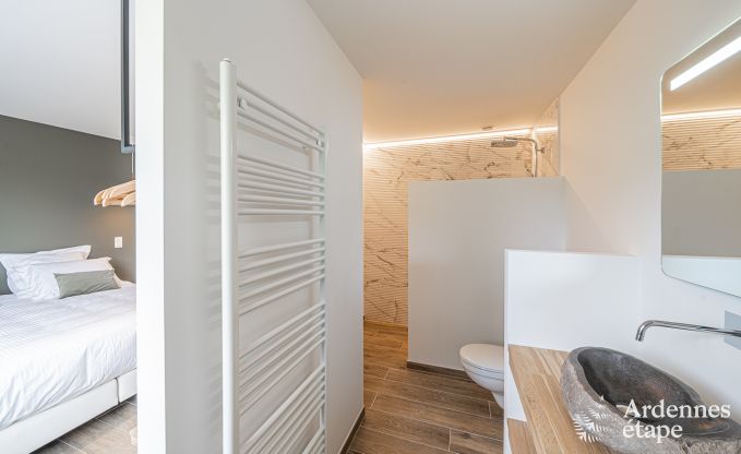 Luxe villa Daverdisse, 10 slaapkamers, 9 badkamers, zwembad, jacuzzi, sauna, speelruimte, nabij bos en rivier