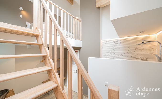 Luxe villa Daverdisse, 10 slaapkamers, 9 badkamers, zwembad, jacuzzi, sauna, speelruimte, nabij bos en rivier