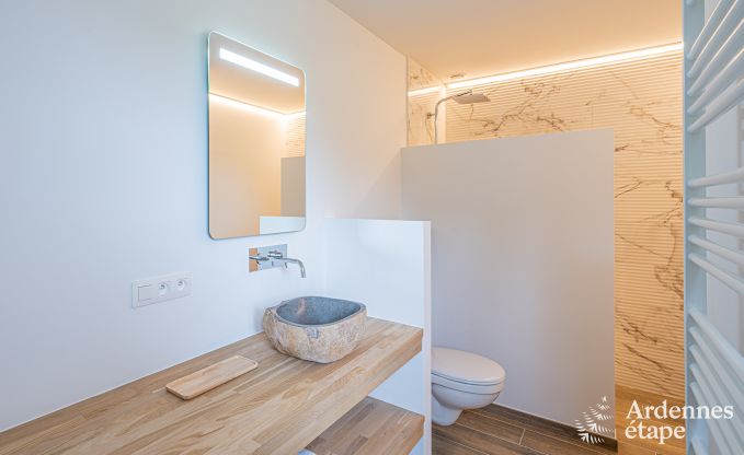 Luxe villa Daverdisse, 10 slaapkamers, 9 badkamers, zwembad, jacuzzi, sauna, speelruimte, nabij bos en rivier