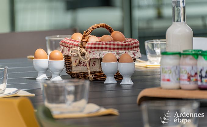 Luxe villa Daverdisse, 10 slaapkamers, 9 badkamers, zwembad, jacuzzi, sauna, speelruimte, nabij bos en rivier