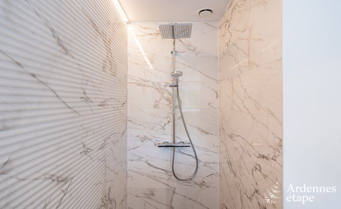 Luxe villa Daverdisse, 10 slaapkamers, 9 badkamers, zwembad, jacuzzi, sauna, speelruimte, nabij bos en rivier