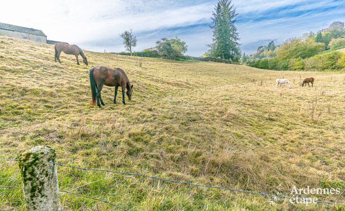 Vakantiehuis in Daverdisse voor 8/9 personen in de Ardennen