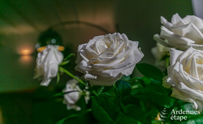 Vakantiehuis in Daverdisse voor 8/9 personen in de Ardennen