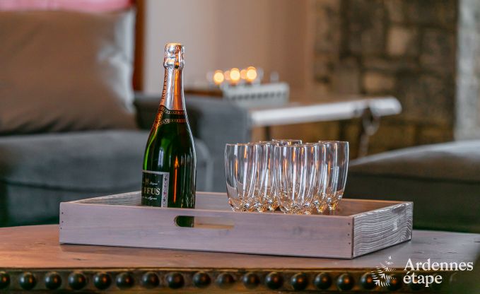 Vakantiehuis in Daverdisse voor 14 personen in de Ardennen