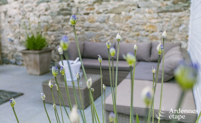 Vakantiehuis in Dinant (Hasti�re) voor 12/13 personen in de Ardennen