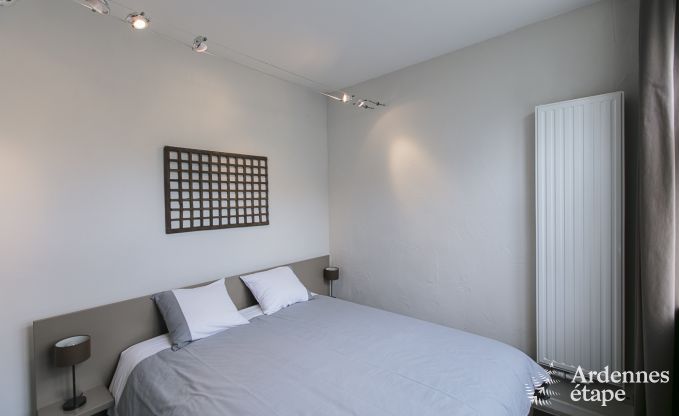 Vakantiehuis in Dinant (Hasti�re) voor 12/13 personen in de Ardennen