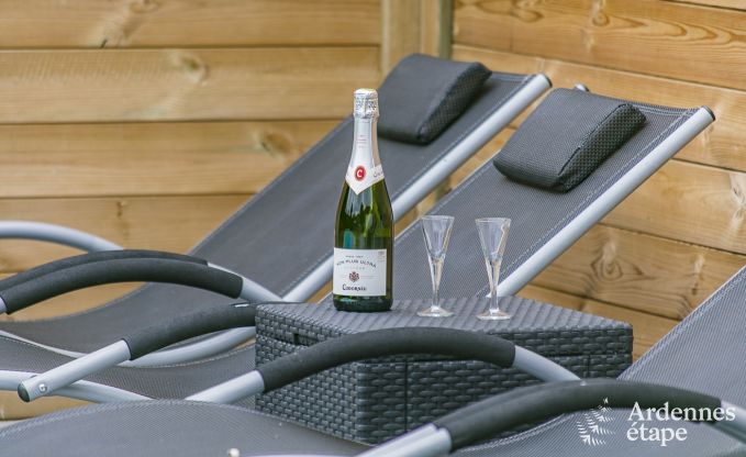 Vakantiehuis in Dinant (Hasti�re) voor 12/13 personen in de Ardennen