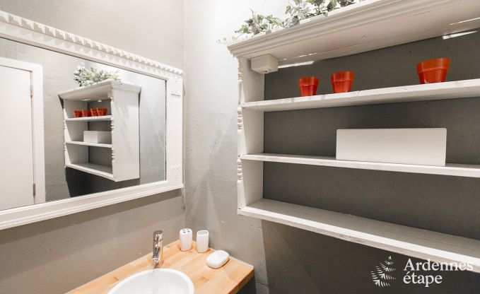 Vakantiehuis in Dinant (Hasti�re) voor 12/13 personen in de Ardennen