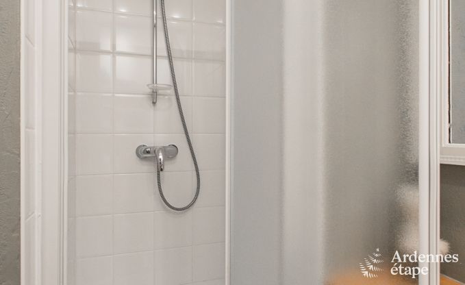 Vakantiehuis in Dinant (Hasti�re) voor 12/13 personen in de Ardennen