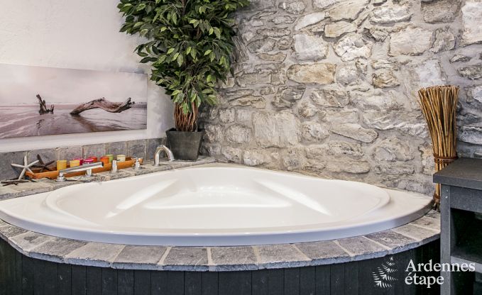 Vakantiehuis in Dinant (Hasti�re) voor 12/13 personen in de Ardennen