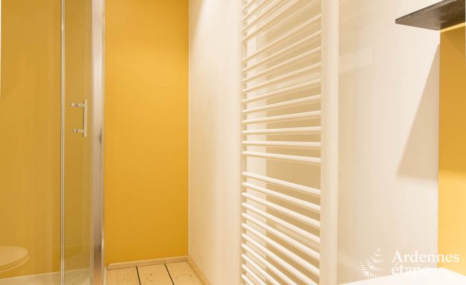 Vakantiehuis in Dinant voor 8 personen in de Ardennen