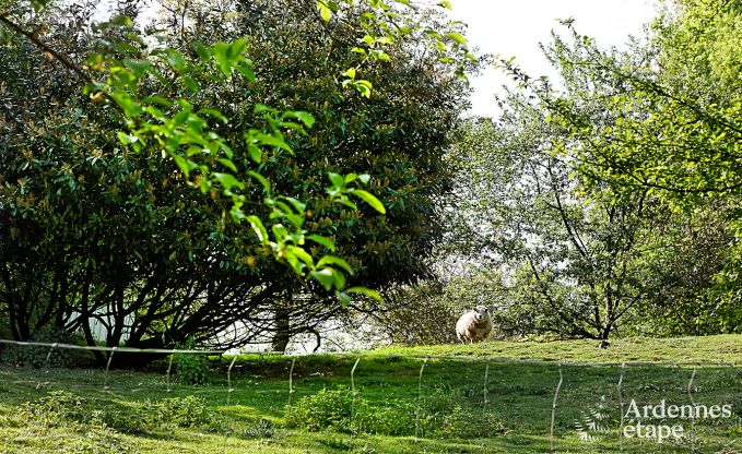 Luxe villa in Dinant voor 8/9 personen in de Ardennen