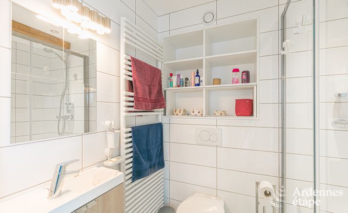 Vakantiehuis in Dinant voor 9 personen in de Ardennen