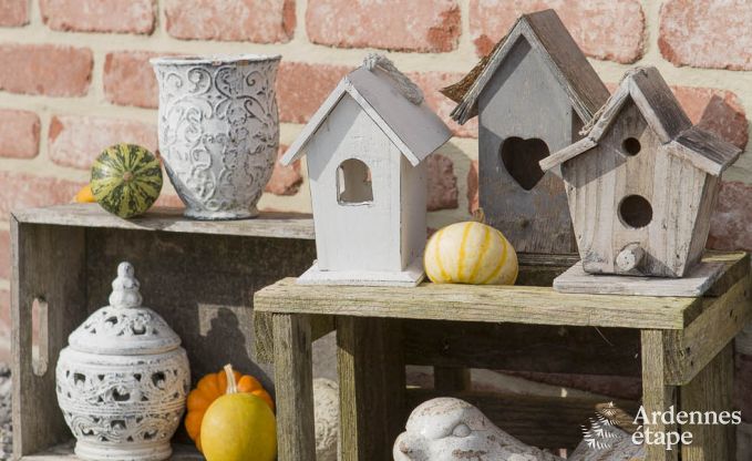 Vakantiehuis in Doische (Dinant) voor 8 personen in de Ardennen