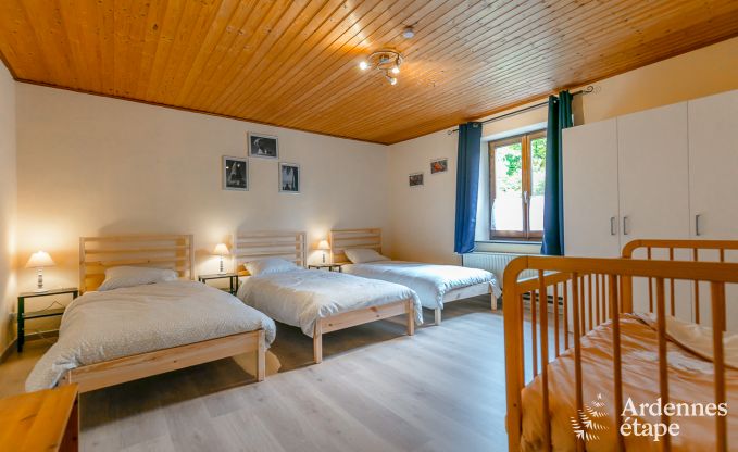 Mooi vakantiehuis voor 9 personen in Doische (Ardennen)