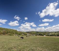 Vakantie op de boerderij in Doische voor 6/8 personen in de Ardennen