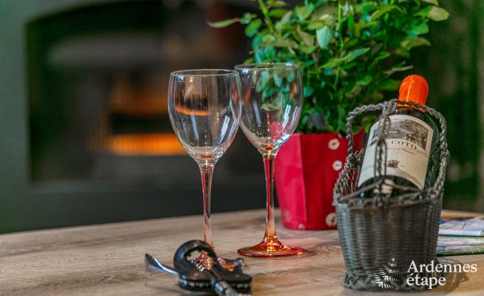 Vakantiehuis in Doische voor 9 personen in de Ardennen