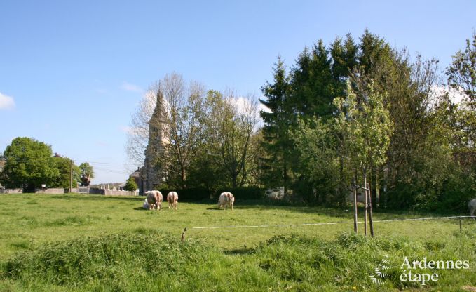 Vakantiehuis in Durbuy (Man) voor 18 personen in de Ardennen