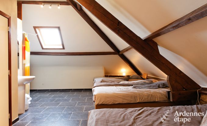 Zeer comfortabel vakantiehuis in kasteelboerderij voor 26 pers in Durbuy