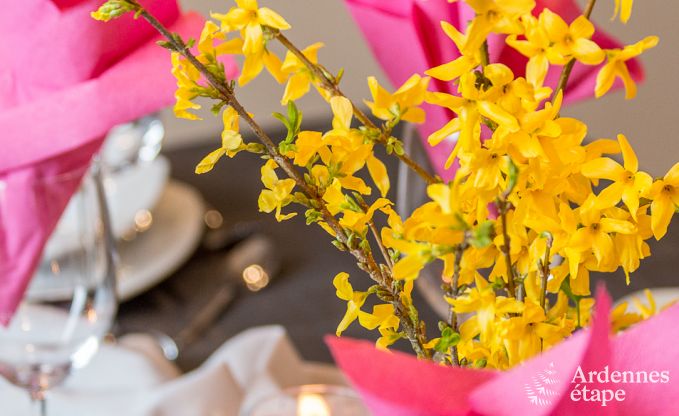 Vakantiehuis in Durbuy voor 6 personen in de Ardennen